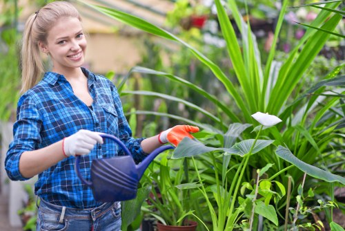 Garden maintenance in Wood Green with tidy lawn and shrubs