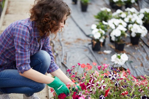 Landscape gardening in Wood Green with a modern patio and planting