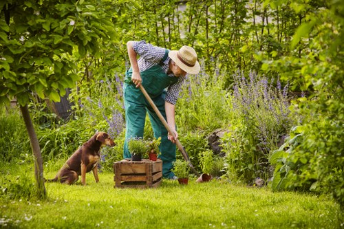Seasonal garden maintenance in Wood Green for healthy planting