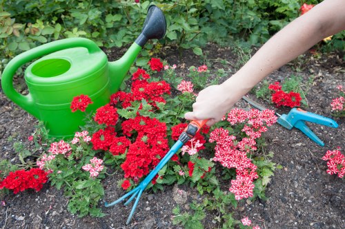 Hard landscaping features in a Wood Green backyard garden