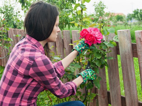 Keyboard navigation support for accessible Gardeners Wood Green pages
