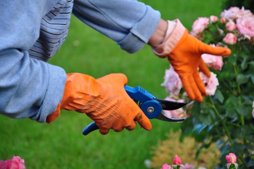Seasonal planting work by Wood Green gardeners in an urban backyard