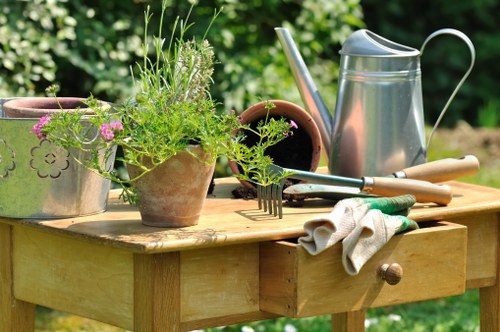 Seasonal lawn maintenance in Wood Green with fresh grass growth