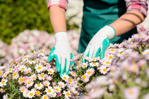 Volume-based quote example for garden waste removal