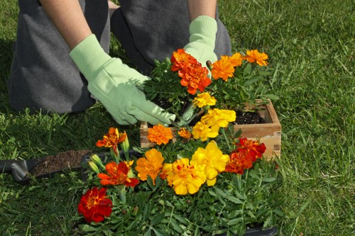 Accessibility request support for Gardeners Wood Green users