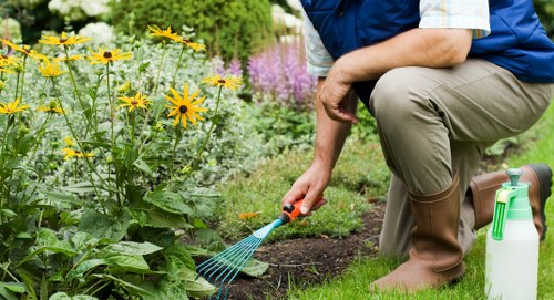 Insured gardeners in Wood Green completing a safe and professional garden job