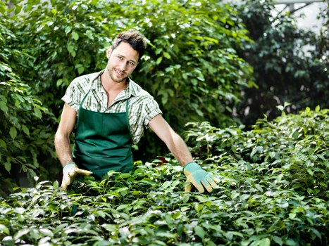Controlled gardening area with safe access management