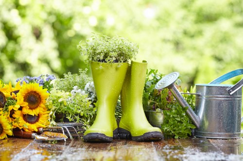 Lawn mowing and hedge trimming service in a Wood Green garden