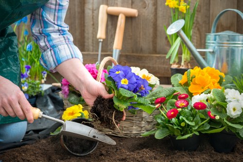 Stone patio maintenance and cleaning service in Wood Green