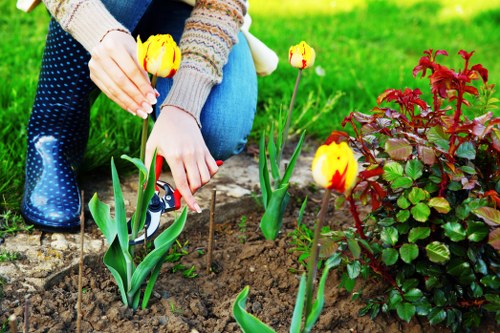Skilled gardeners shaping a compact Wood Green garden space