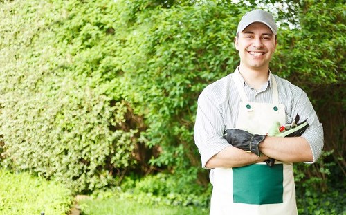 Manager considering a gardening service issue carefully