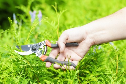 Commercial garden maintenance and tidy borders in Wood Green