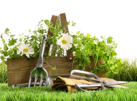 Zero-tolerance modern slavery policy for Gardeners Wood Green
