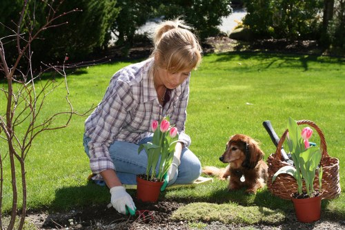 Seasonal garden care from Gardeners Wood Green