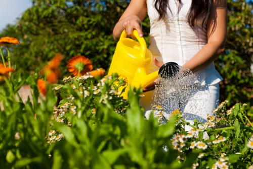Garden hedge care and clipping cleanup in Wood Green
