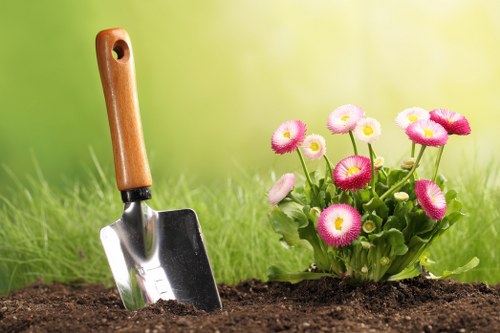 Lawn care and edging for garden maintenance in Wood Green