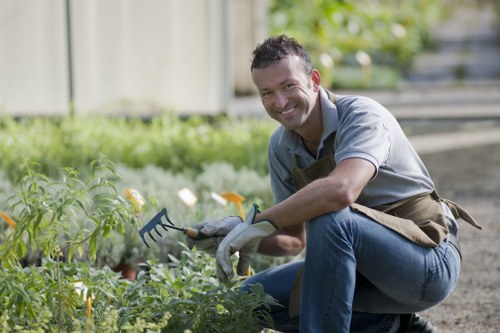 Low-maintenance planting and garden layout for a Wood Green property